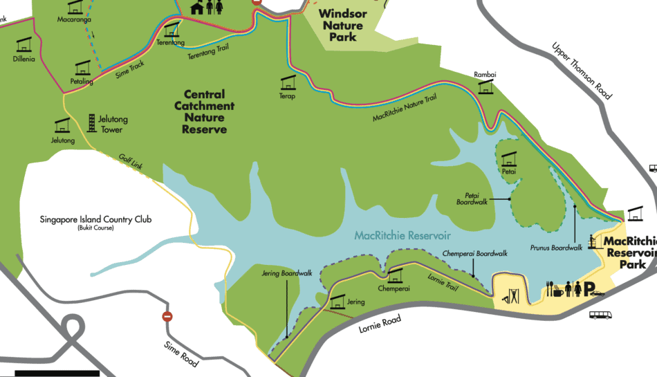 MacRitchie Reservoir Yellow Trail Hike