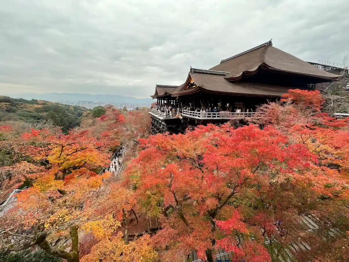 Kiyomizu-dera Temple overlooking vivid autumn foliage near Park Hotel Kyoto